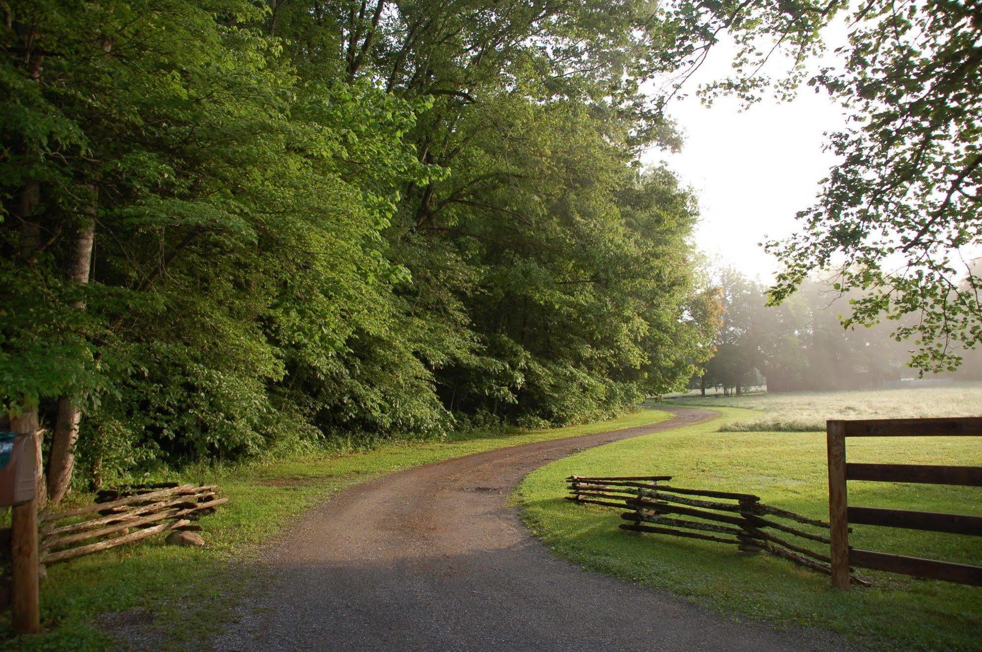 Creekwalk Inn And Cabins Cosby Exterior photo